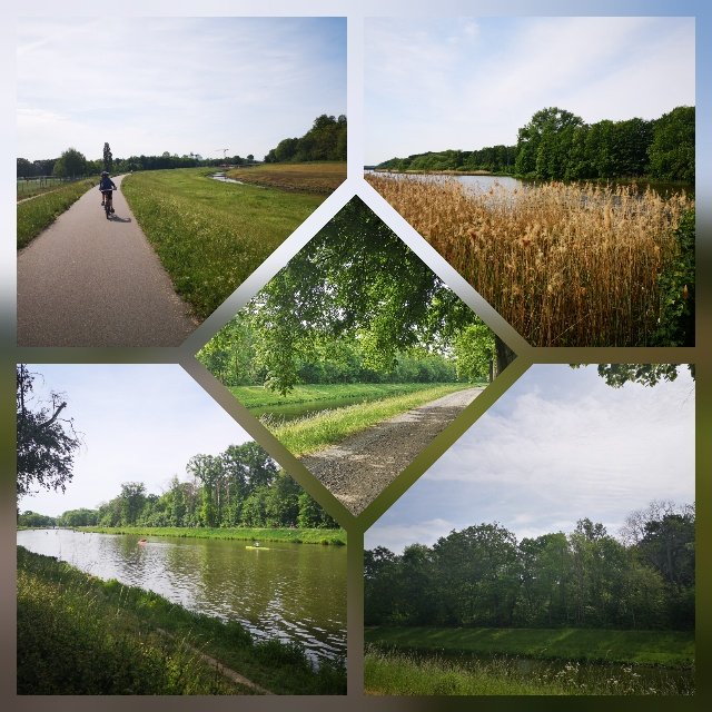 Wald Rad Fluss See Wolken Himmel